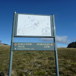 New signposte near the Int of Porcupine Trail and Wheatley Link Track (263930)