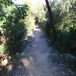 Track down to Georges Heights Lookout (57218)