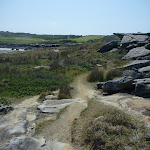View and track on Cape Banks in Botany Bay National Park (310169)