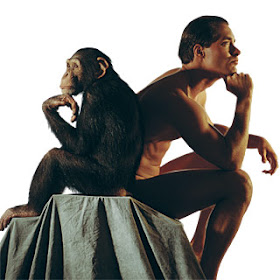DNA simpanse vs DNA manusia