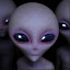 Terran Grey's user avatar