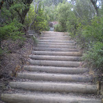 Stairs up to Wentworth Falls Lookout (8084)