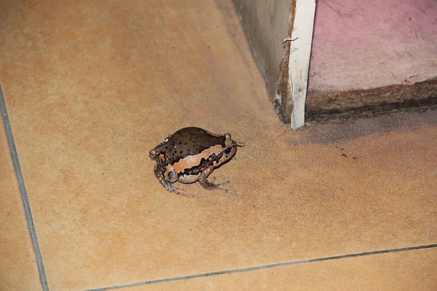 Испытание отпуском. Ноябрь 2014