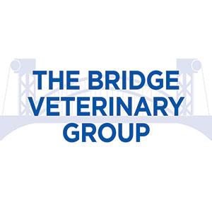 Bridge Veterinary Hospital - Middlesbrough logo