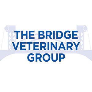 Bridge Veterinary Hospital - Middlesbrough