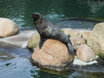 Photos of Dierenpark Emmen