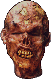 image%252520%25252881%252529.gif