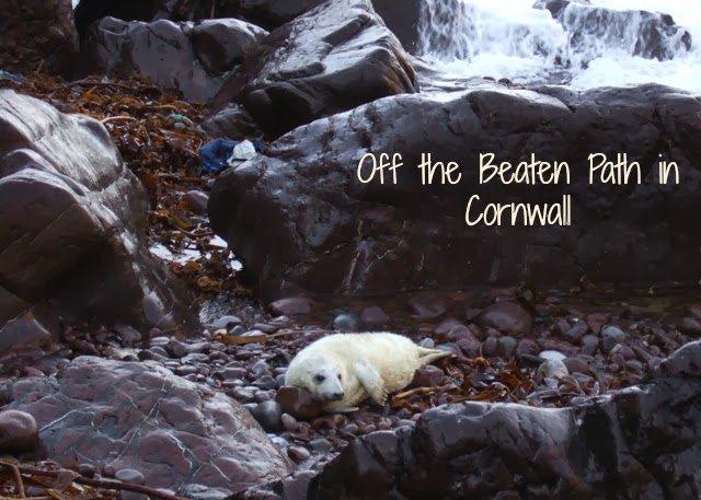 Off the Beaten Path in Cornwall