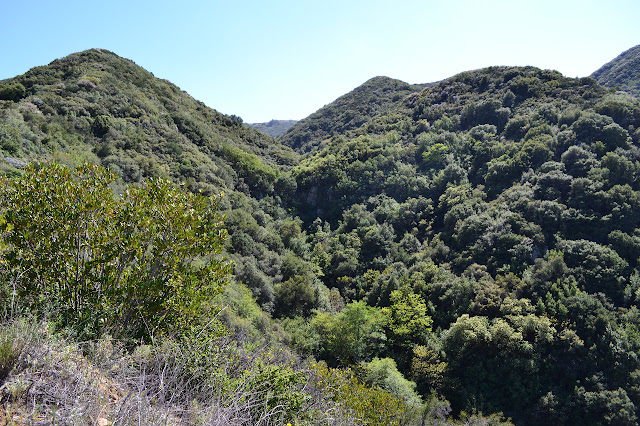 little cliffs at a sharp narrowing of the canyon