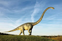 https://lh5.googleusercontent.com/-LJ-GlCccs5U/UNRlUeMT50I/AAAAAAAAAKk/s8rkWY6FtCI/s128/Khung long sauropoddinosaur.jpg?gl=US