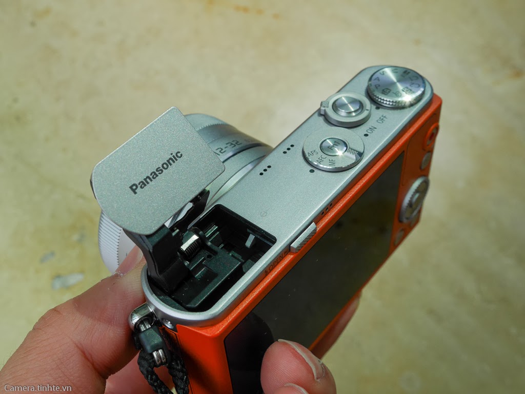 P1000897.JPG