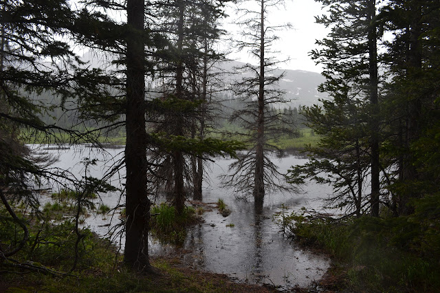 rain coming down in a wide spot of the creek