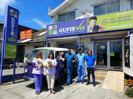 Clínica Veterinaria Gupis Vet., Avda Pdte Ibanez, 79 - Puerto Montt, Puero Montt, Décima Región de Los Lagos, Chile, Tienda de mascotas | Los Lagos