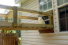 cat walkway to a cat enclosure