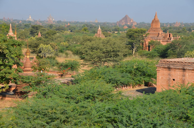 bagan