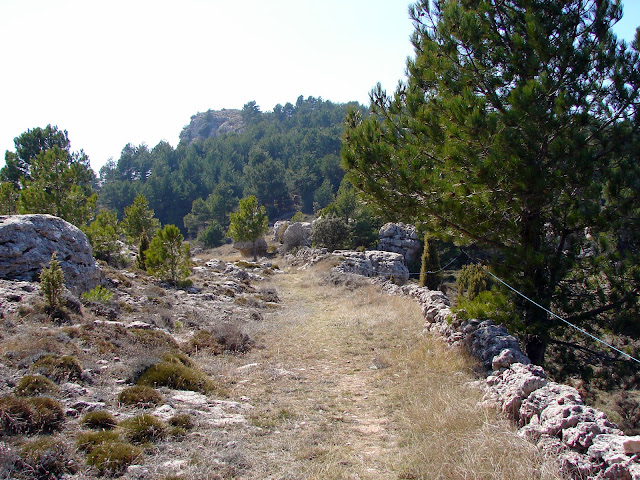 Senderismo Castell de Cabres - El Boixar - Coratxà