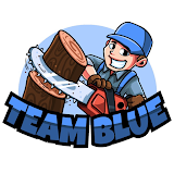 Team Blue LLC