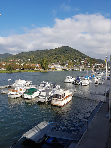 Neckarwiese