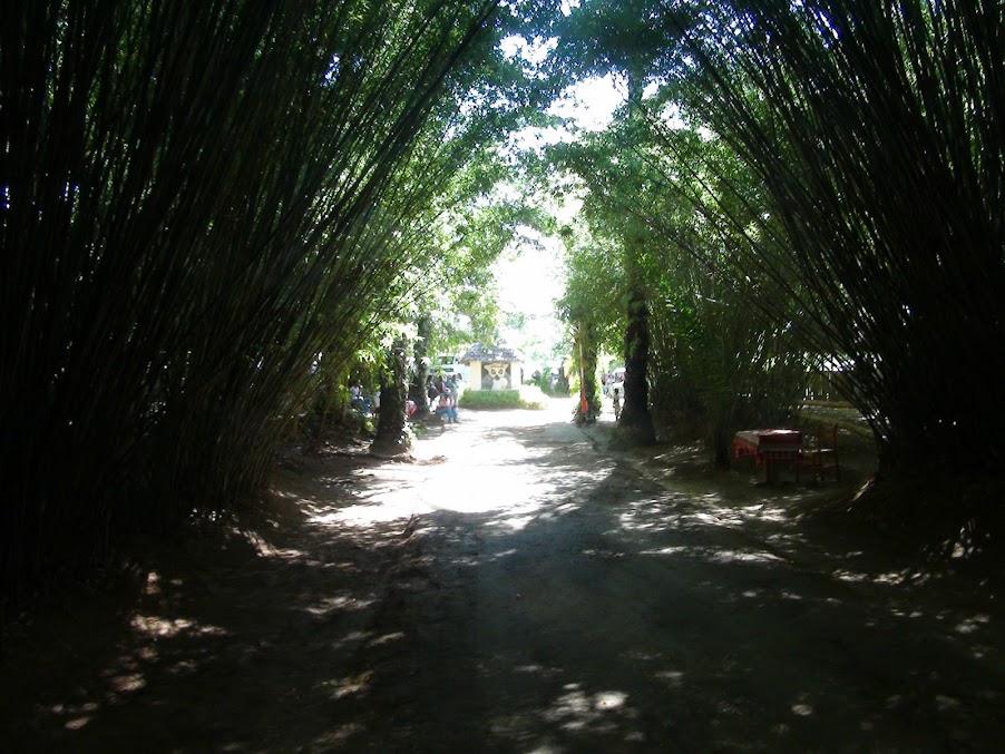 MS ASTOR: круиз по Индийскому океану