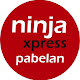 Ninja Express Pabelan