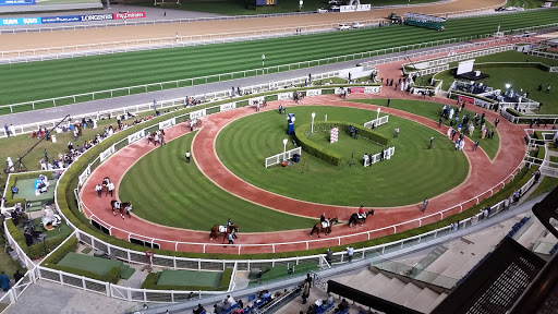 Meydan Grandstand & Racecourse, Al Meydan Rd - Dubai - United Arab Emirates, Event Venue, state Dubai