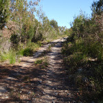 Track up to the summit and Bournda Trig (103450)