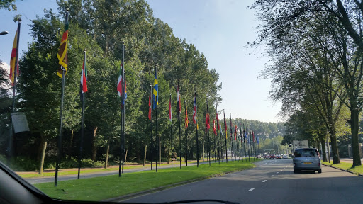World Forum