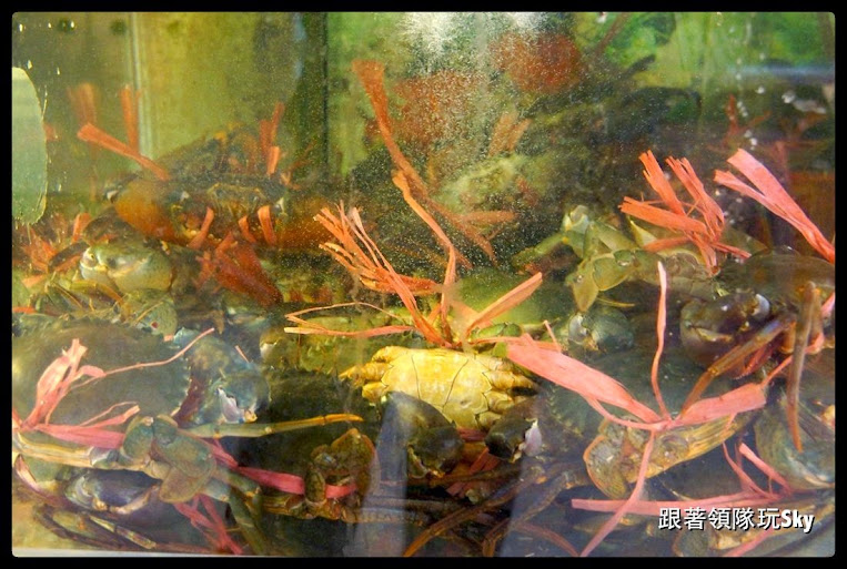 墾丁美食推薦-後壁湖 生魚片份量大又便宜【輝哥生魚片】