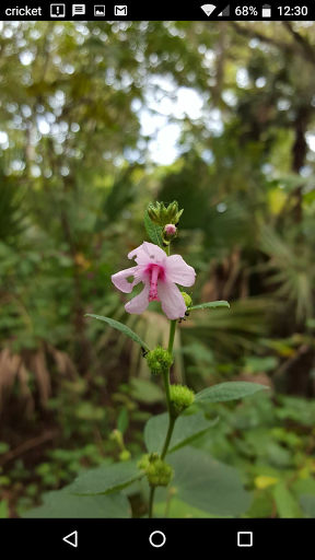 County Government Office «Brevard County Enchanted Forest Sanctuary», reviews and photos, 444 Columbia Blvd, Titusville, FL 32780, USA