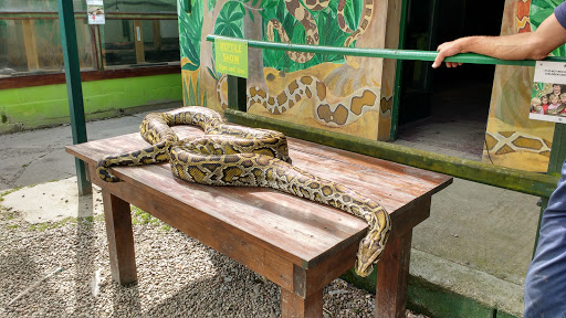 Borth Animalarium