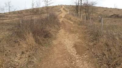 Photos of Mont-des-Pins