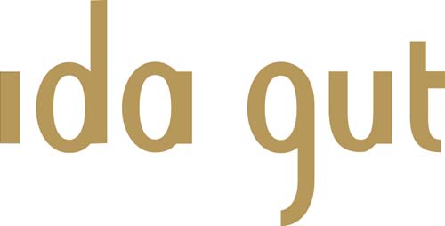 ida gut mode - conception logo