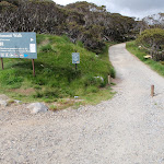Start of the Summit Trail (96178)