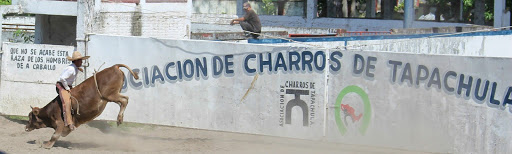 Asociación Charros de Tapachula A.C., Carretera a Talismán SN, Magisterial, 30778 Tapachula de Córdova y Ordoñez, Chis., México, Cámara de comercio | CHIS