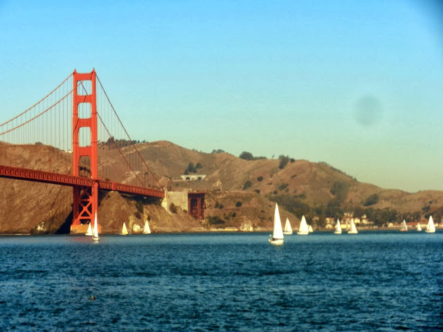 4 DÍAS EN INVIERNO EN SAN FRANCISCO - COSTA OESTE EEUU 2014: CALIFORNIA, ARIZONA y NEVADA. (3)