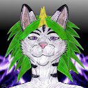 Thorn Brier's user avatar