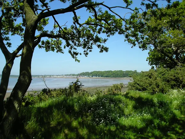 The River Orwell