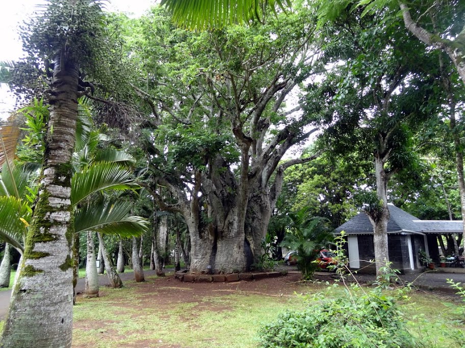 Costa neoRomantica: Сингапур,Малайзия,Таиланд, Шри-Ланка, Индия, Мальдивы,Сейшелы,Маврикий