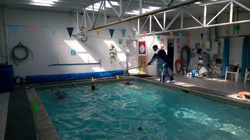 Escuela de Natación Delfines y Sirenas, Bahía Sta. Rosalía 726, El Mirador, 22520 Tijuana, B.C., México, Piscina cubierta | BC