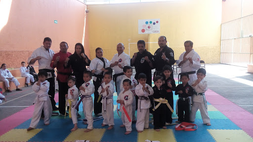 Ekca Escuela de Karate de la Ciudad de Aguascalientes, Av. Aguascalientes sur 203 int 1 altos, el dorado, 20235 Aguscalientes, Ags., México, Escuela de karate | AGS