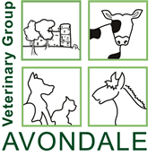 Avondale Veterinary Group logo