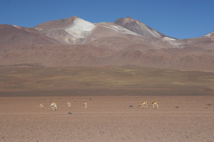 Ветер в кактусах: отчет о поездке Перу - Боливия