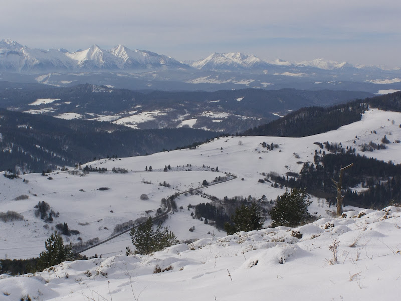 pie065 - Małe Pieniny, czyli Pieniny widokowe