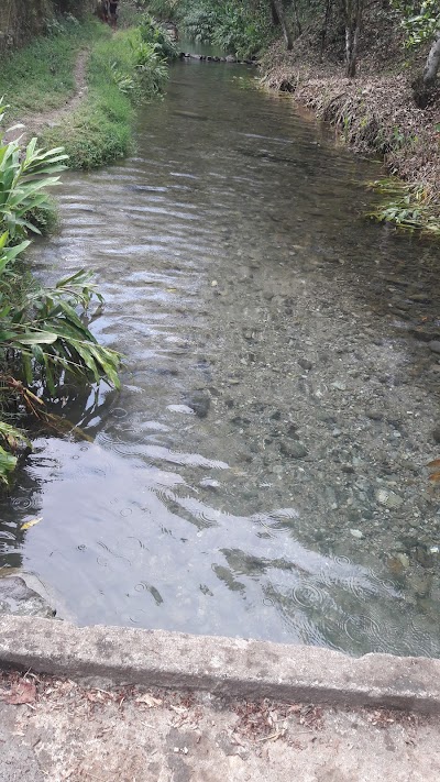 Photos of Parque Naranjal