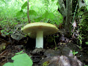 DSC00540.JPG