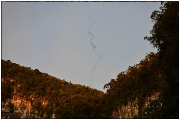 Gunung Mulu - Kuala Lumpur, Borneo malayo y Bali (6)
