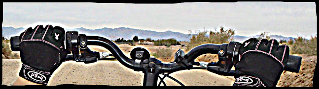 The view from my handlebars...