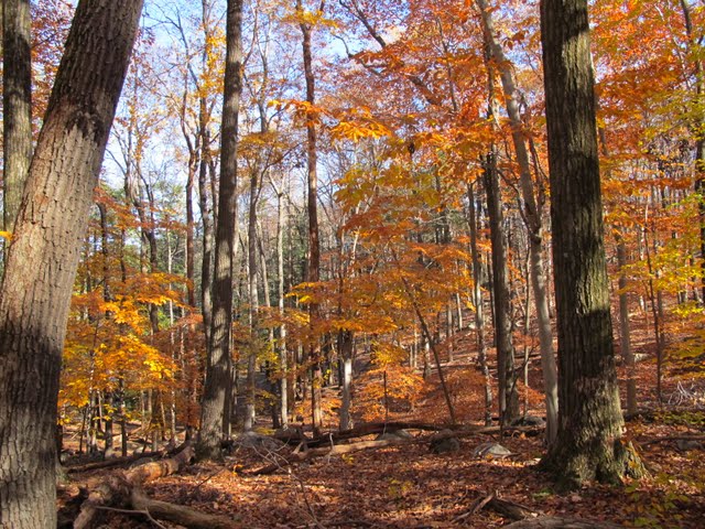 IMG_5504.JPG