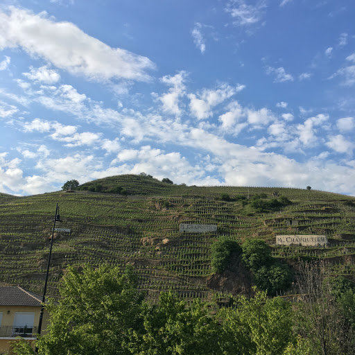 Hôtel Le Domaine des Vignes
