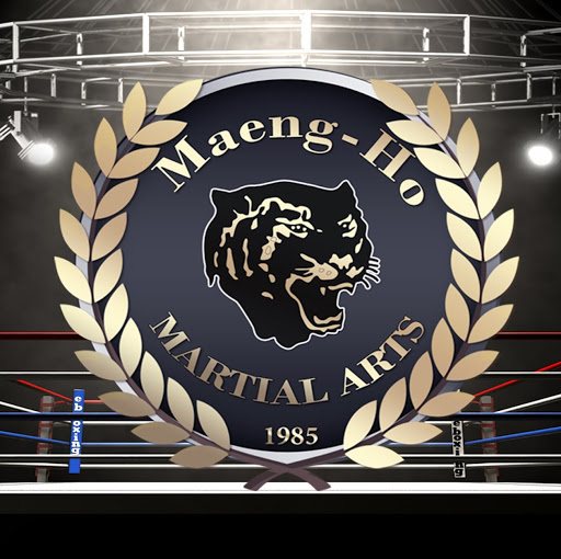 Maeng-Ho Martial-Arts logo
